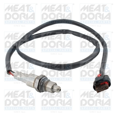 Oxygen Sensor